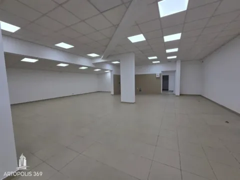 Izdavanje, poslovni prostor, 310m², Dušanovac, Voždovac Sve Podlokacije - image 8