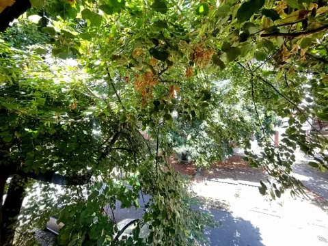 Sale, two bedroom apartment, 57m², Čukarica, Beograd - image 14