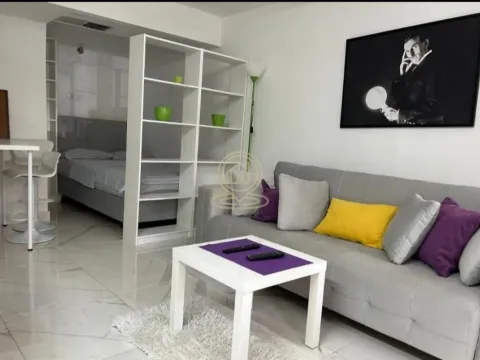 Rent, one bedroom apartment, 30m², Vračar Sve Podlokacije, Beograd - image 4