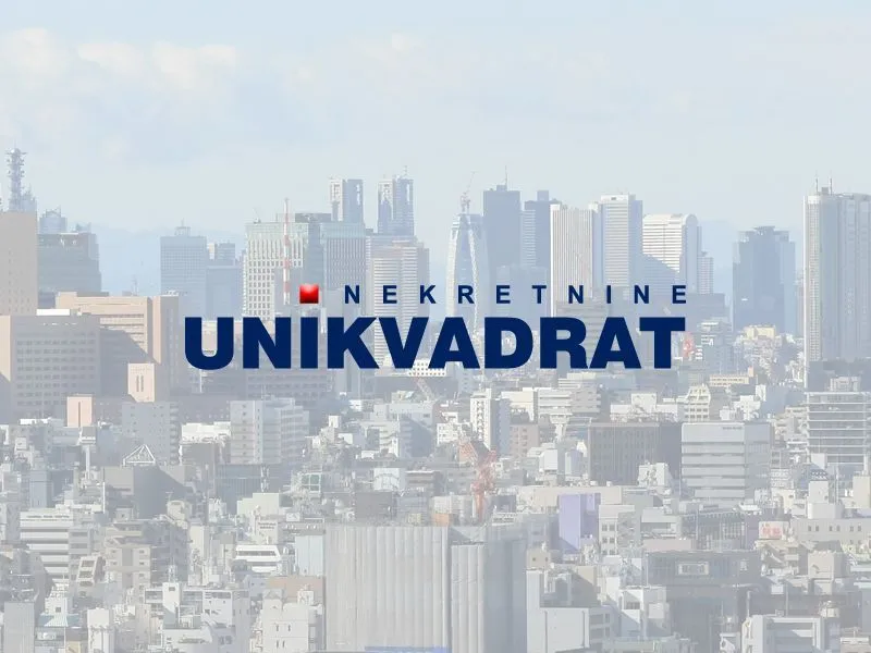 Izdavanje, poslovni prostor, 750m², Vrčin, Grocka