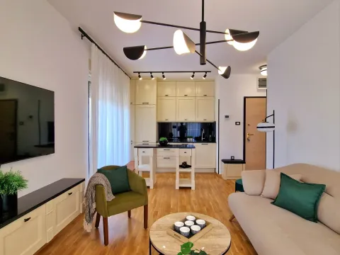 Prodaja, jednosoban stan, 41m², Budva, Crna Gora - image 2