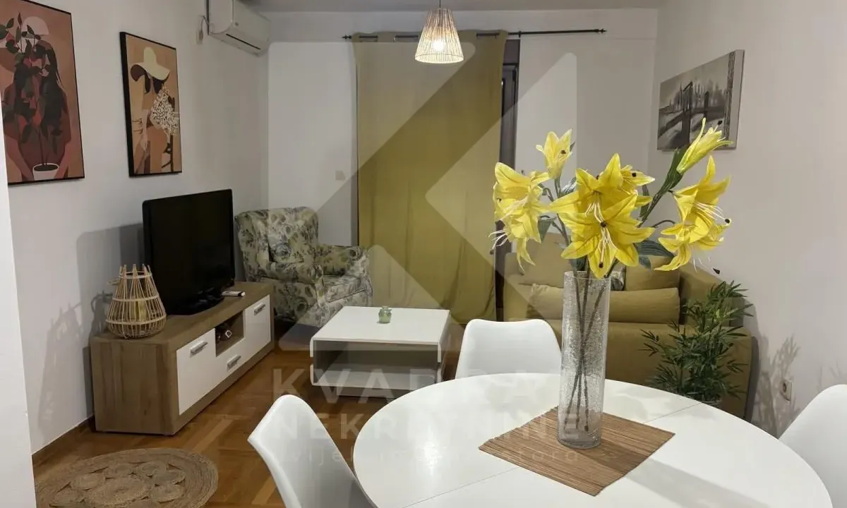 Rent, one bedroom apartment, 45m², Stari Aerodrom, Podgorica