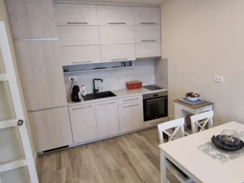 Izdavanje, jednosoban stan, 49m², Petrovac, Budva - image 4