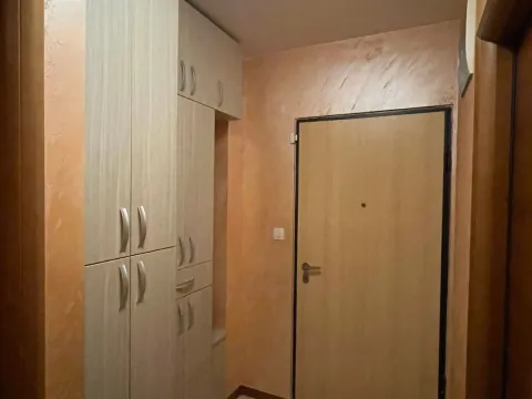 Izdavanje, jednosoban stan, 40m², Stari Aerodrom, Podgorica - image 9