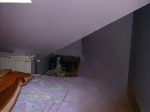 Sale, two bedroom apartment, 28m², Telep, Novi Sad Sve Podlokacije - image 8