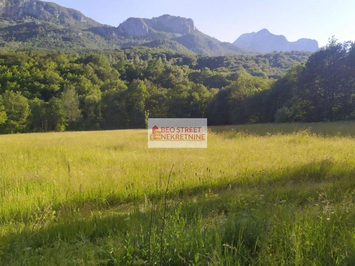 Prodaja, plac, 5000m², Kolašin, Crna Gora