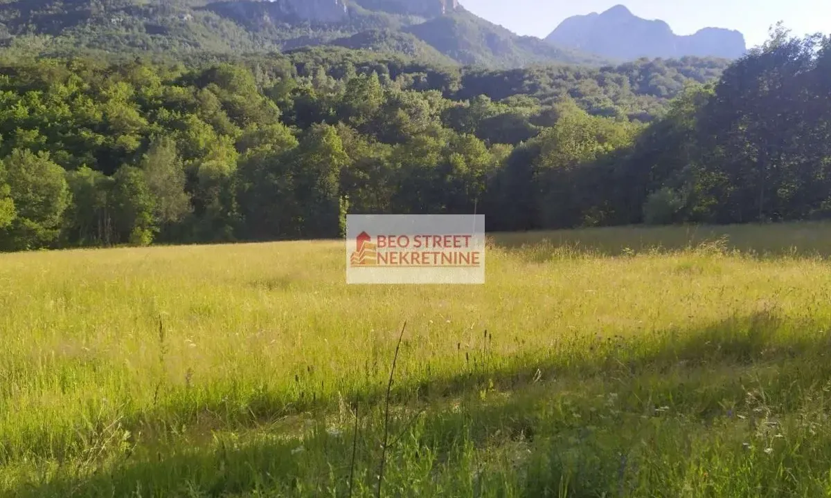 Prodaja, plac, 5000m², Kolašin, Crna Gora