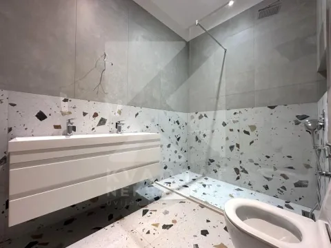 Modern bathroom equipped with a walk-in shower, washbasin, and toilet. - image 26