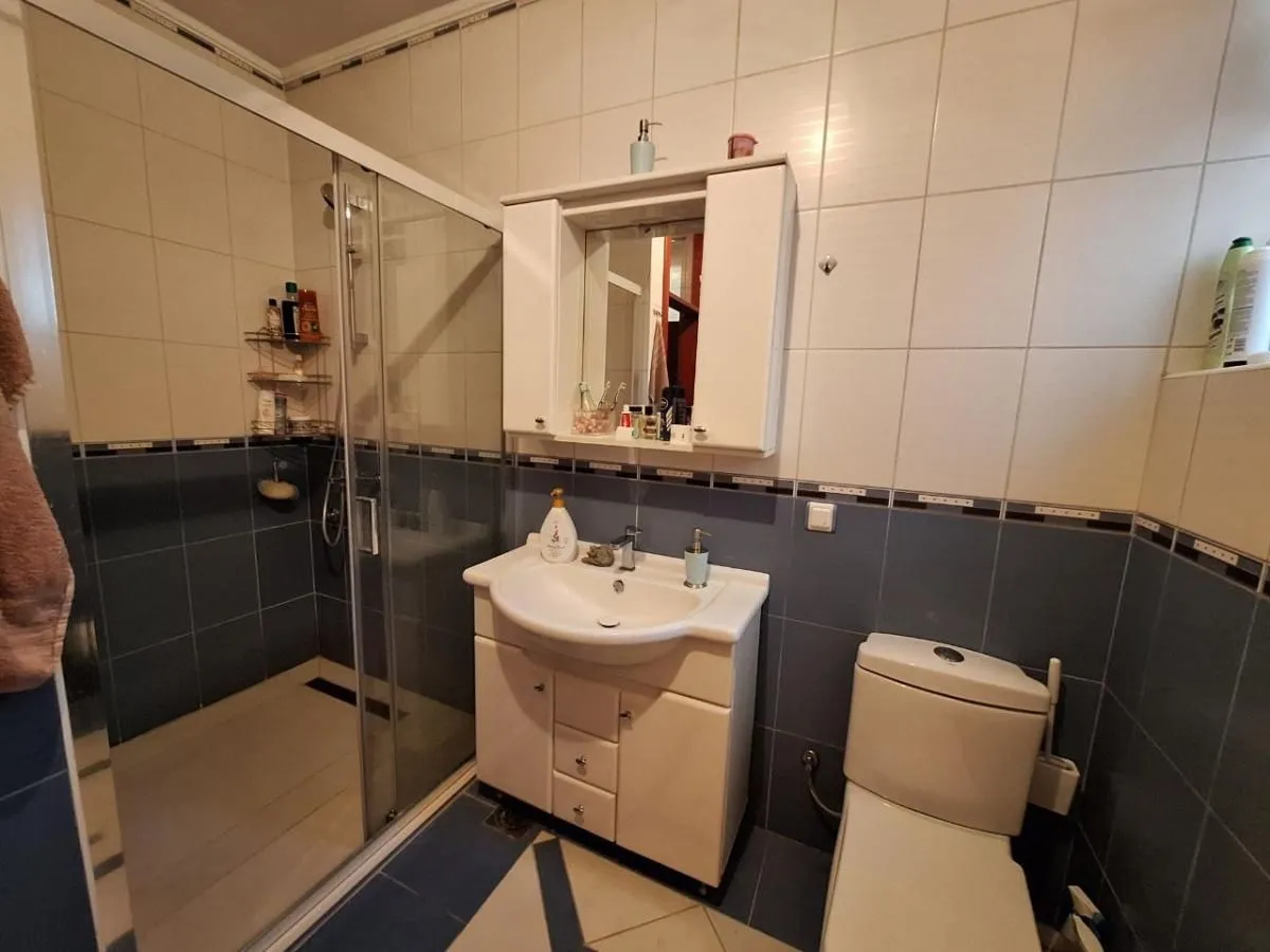 Sale, house, 253m², Adice, Novi Sad Sve Podlokacije