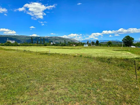 Pogled na ravno zemljište sa zelenom travom i planinama u pozadini. - image 4