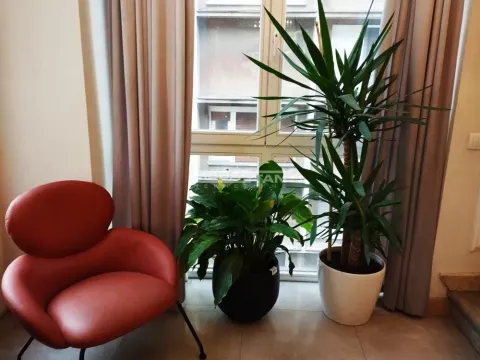 Sale, house, 620m², Savski Venac, Beograd - image 7