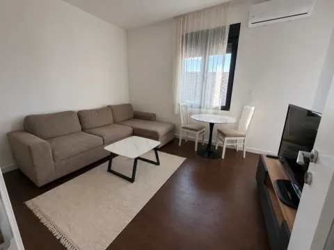 Izdavanje, jednosoban stan, 43m², Krivi Most, Podgorica - image 1
