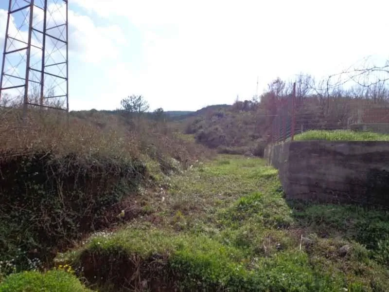 Pogled na neuređeni plac sa rastinjem i stubom dalekovoda u blizini.