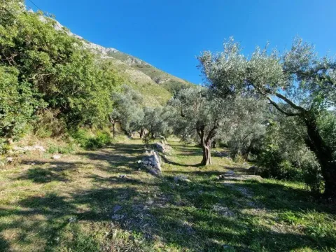Prodaja, plac, 1700m², Reževići, Budva - image 5