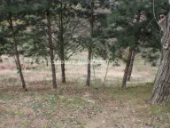 Sale, house, 150m², Beočin, Srbija - image 16