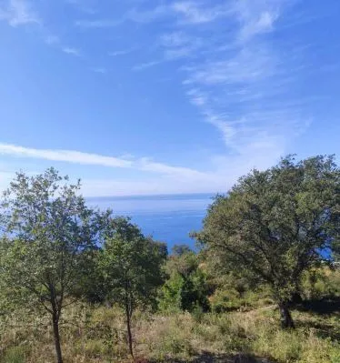 Prodaja, plac, 1227m², Dobra Voda, Budva