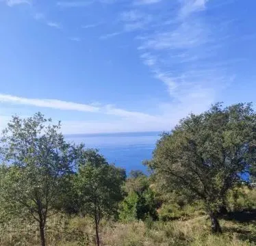 Prodaja, plac, 1227m², Dobra Voda, Budva - image 6
