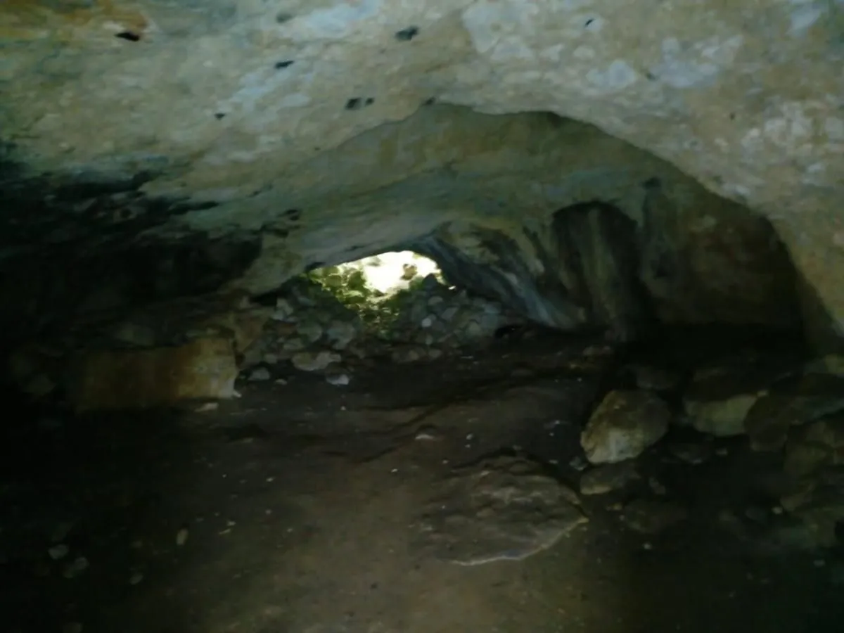 Prodaja, plac, 240000m², Štitari, Cetinje