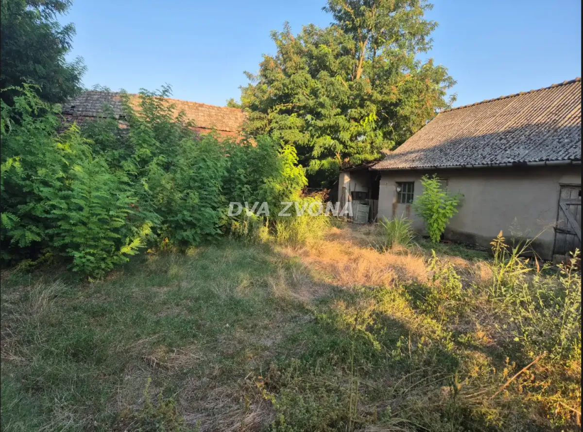 Pogled na staru kuću i dvorište puno zelenila.