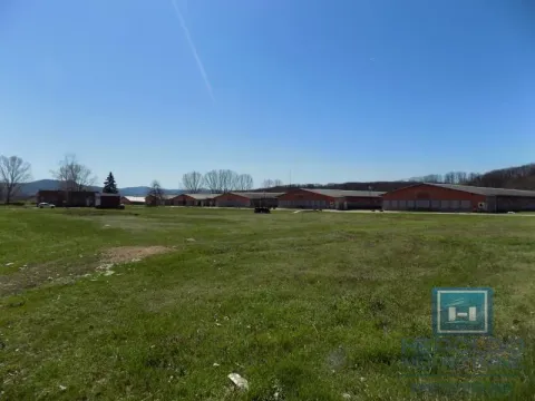 Sale, office space, 16723m², Boljevac, Srbija - image 26