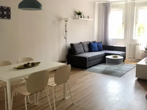 Rent, one bedroom apartment, 48m², Novi Beograd Sve Podlokacije, Beograd - image 3