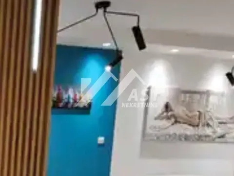 Izdavanje, jednosoban stan, 42m², Rotkvarija, Novi Sad Sve Podlokacije - image 3