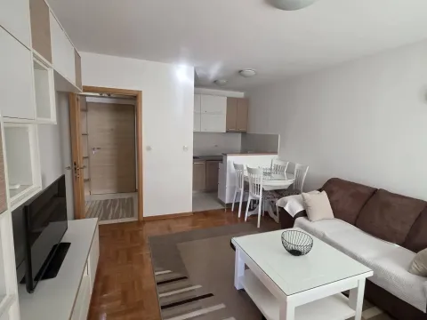 Rent, one bedroom apartment, 44m², Stari Aerodrom, Podgorica - image 1