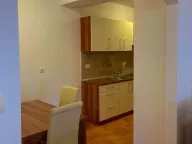 Izdavanje, jednosoban stan, 63m², Rozino, Budva - image 2