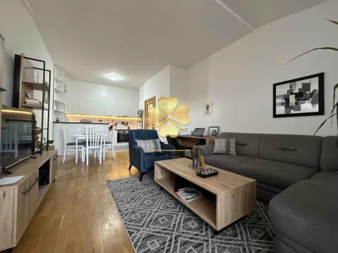 Rent, one bedroom apartment, 50m², Stari Aerodrom, Podgorica - image 3