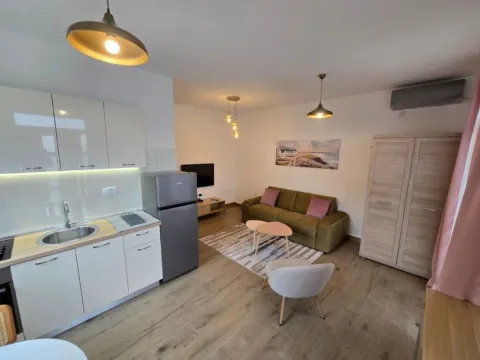 Izdavanje, garsonjera, 25m², Momišići, Podgorica - image 11