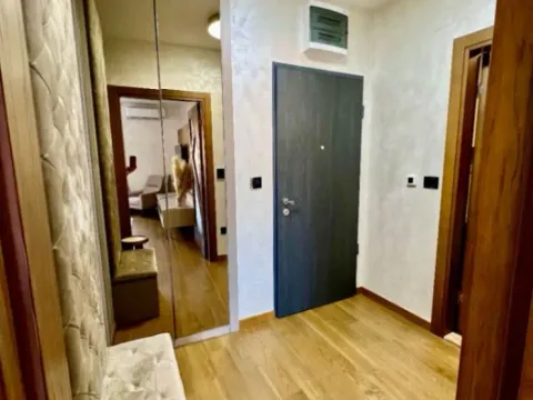 Izdavanje, jednosoban stan, 49m², Stara Varoš, Podgorica - image 6