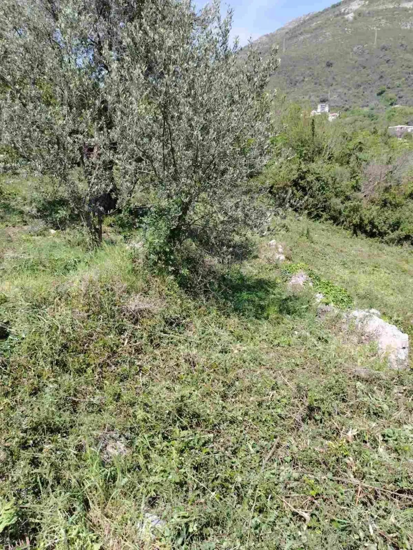 Sale, land lot, 756m², Zeleni Pojas, Bar