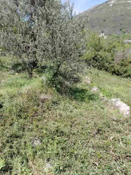 Sale, land lot, 756m², Zeleni Pojas, Bar - image 3