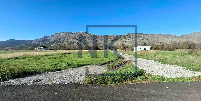 Prodaja, plac, 5000m², Botun, Podgorica
