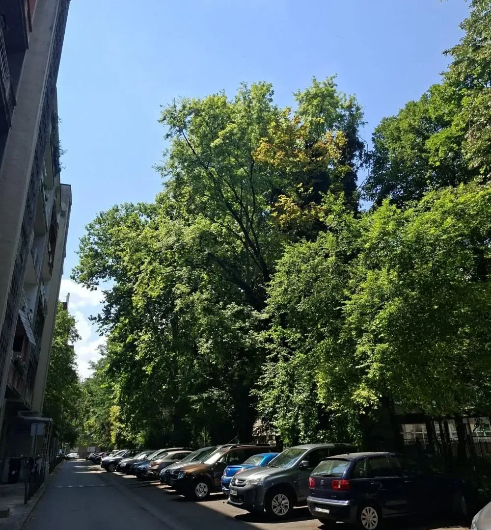 Sale, two bedroom apartment, 43m², Stari Merkator, Novi Beograd Sve Podlokacije
