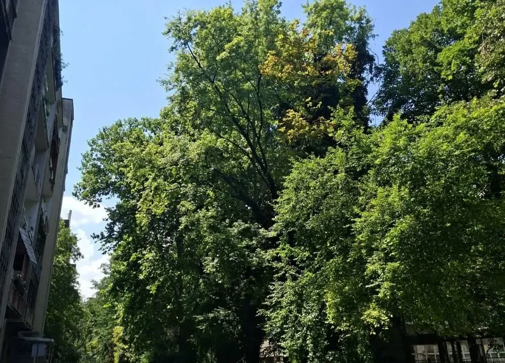 Sale, two bedroom apartment, 43m², Novi Beograd Sve Podlokacije, Beograd