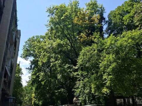 Sale, two bedroom apartment, 43m², Stari Merkator, Novi Beograd Sve Podlokacije - image 14