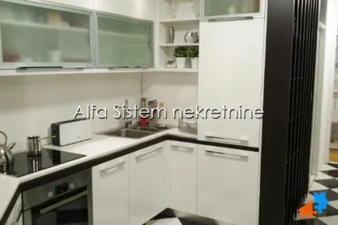 Izdavanje, dvosoban stan, 60m², Vračar Hram, Vračar Sve Podlokacije - image 6