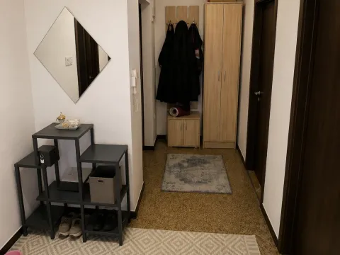 Prodaja, jednosoban stan, 60m², Zagorič, Podgorica - image 6