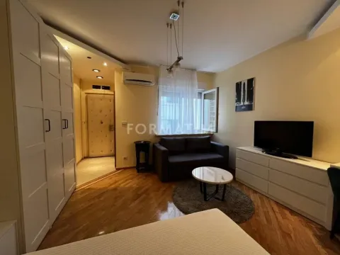Rent, one bedroom apartment, 25m², Vračar Centar, Vračar Sve Podlokacije - image 3