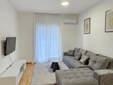 Rent, one bedroom apartment, 45m², Zabjelo, Podgorica - image 2