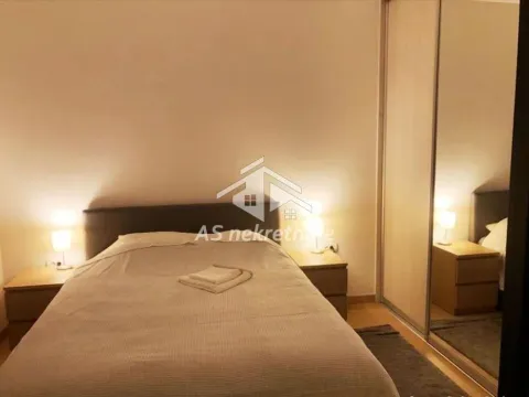 Izdavanje, trosoban stan, 68m², Vračar Sve Podlokacije, Beograd - image 13