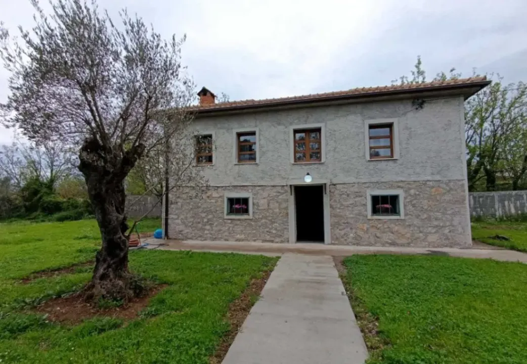 Izdavanje, poslovni prostor, 100m², Donja Gorica, Podgorica