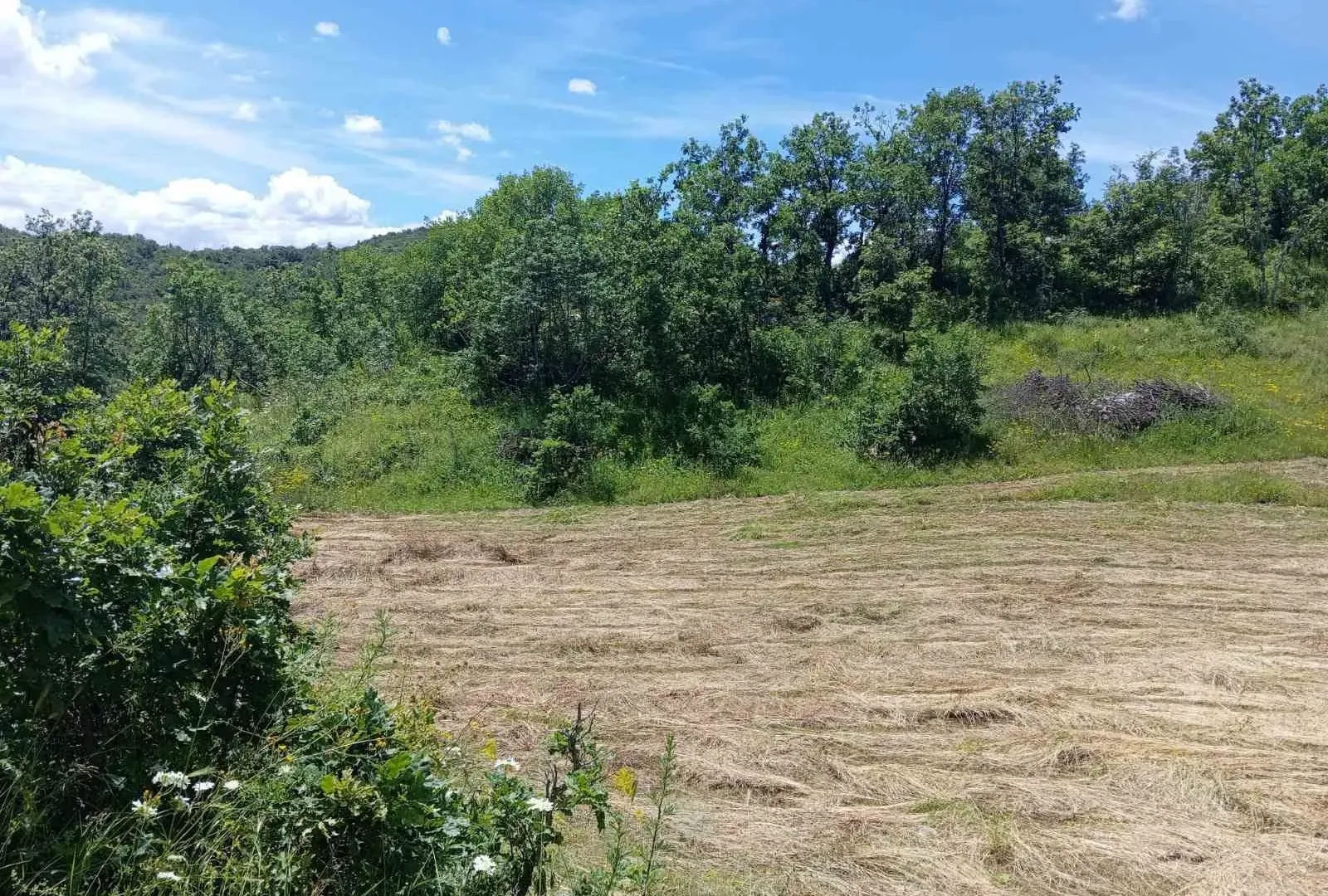 Prodaja, plac, 77200m², Velimlje, Nikšić