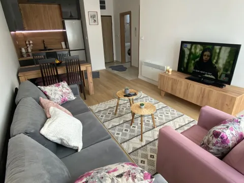 Izdavanje, jednosoban stan, 40m², Centar, Kolašin - image 3