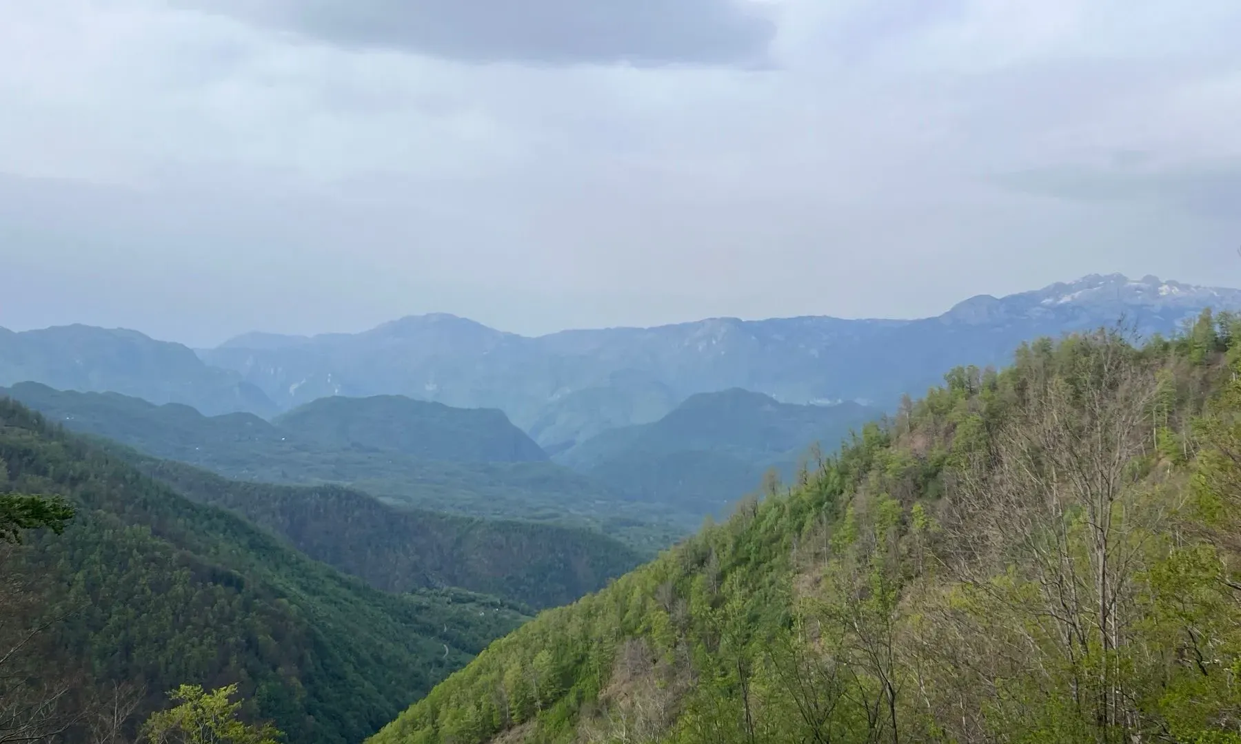 Prodaja, plac, 8000m², Kolašin, Crna Gora