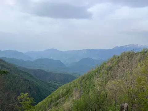 Prodaja, plac, 8000m², Kolašin, Crna Gora - image 3