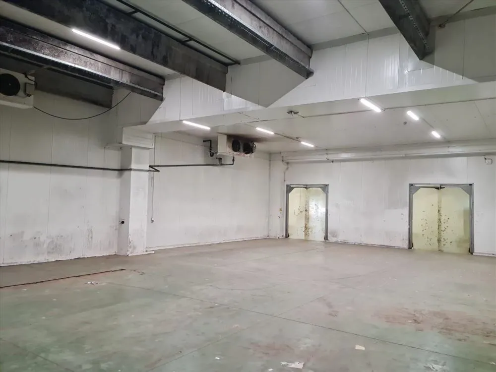 Rent, office space, 3200m², Šimanovci, Pećinci