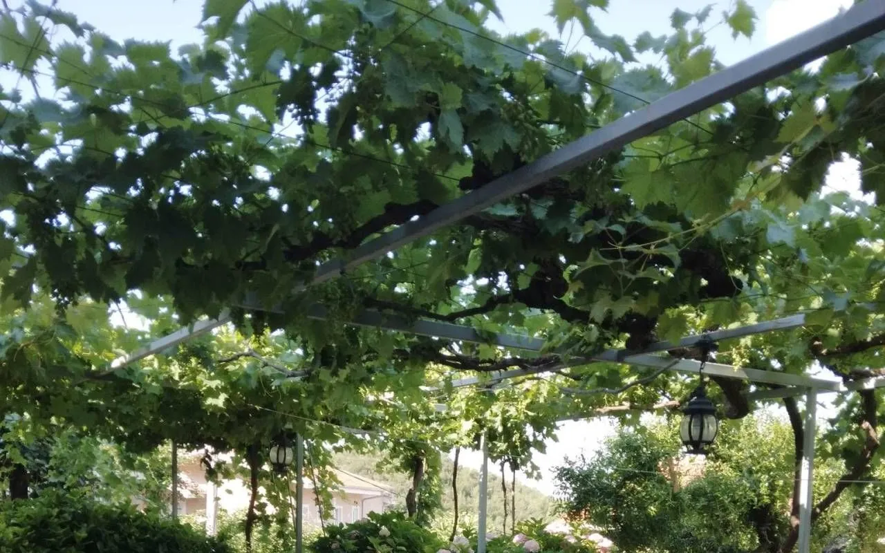 Izdavanje, kuća, 120m², Pržno, Budva
