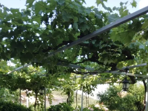 Izdavanje, kuća, 120m², Pržno, Budva - image 4